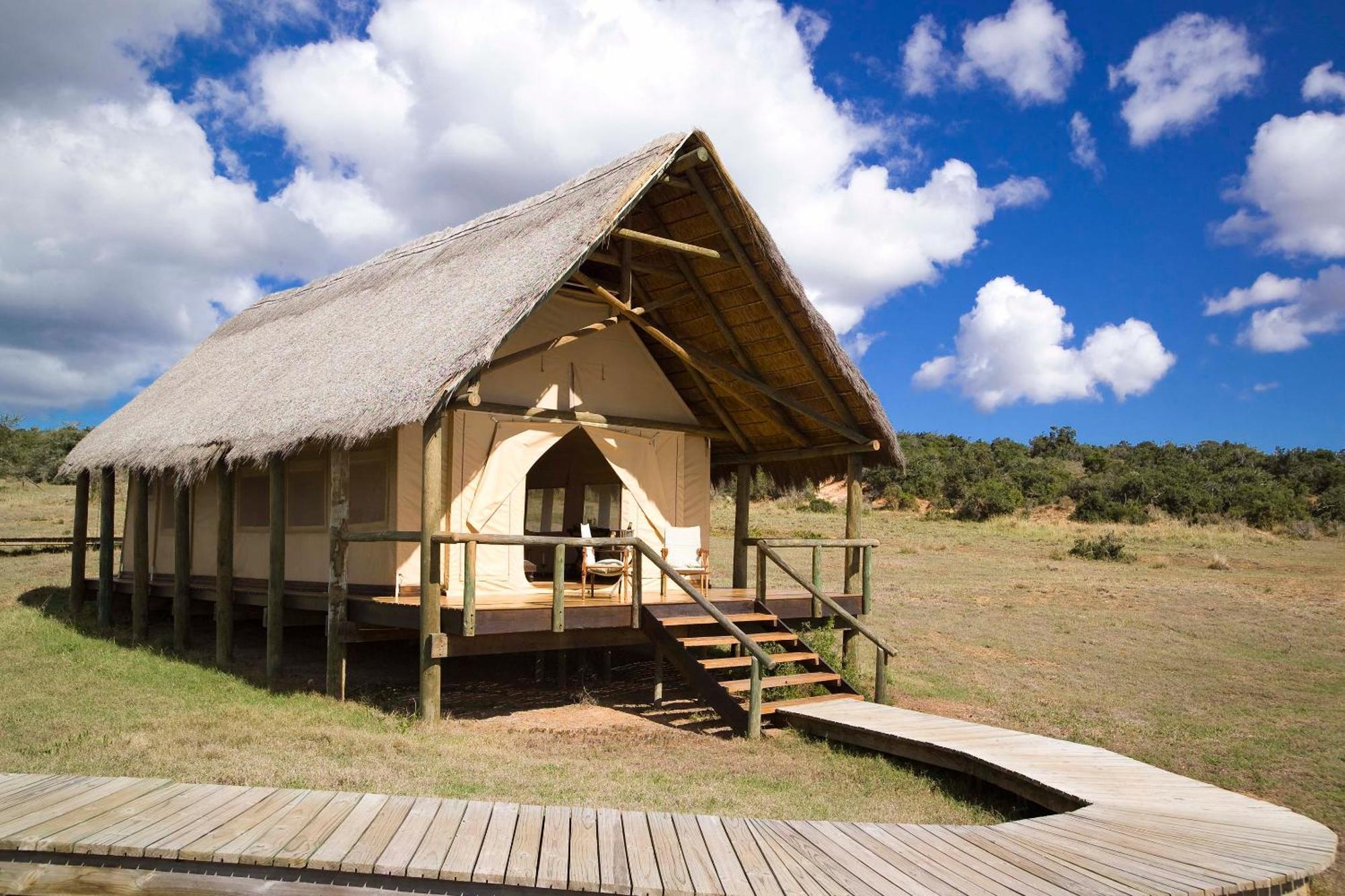 Gorah Elephant Camp Addo Luaran gambar