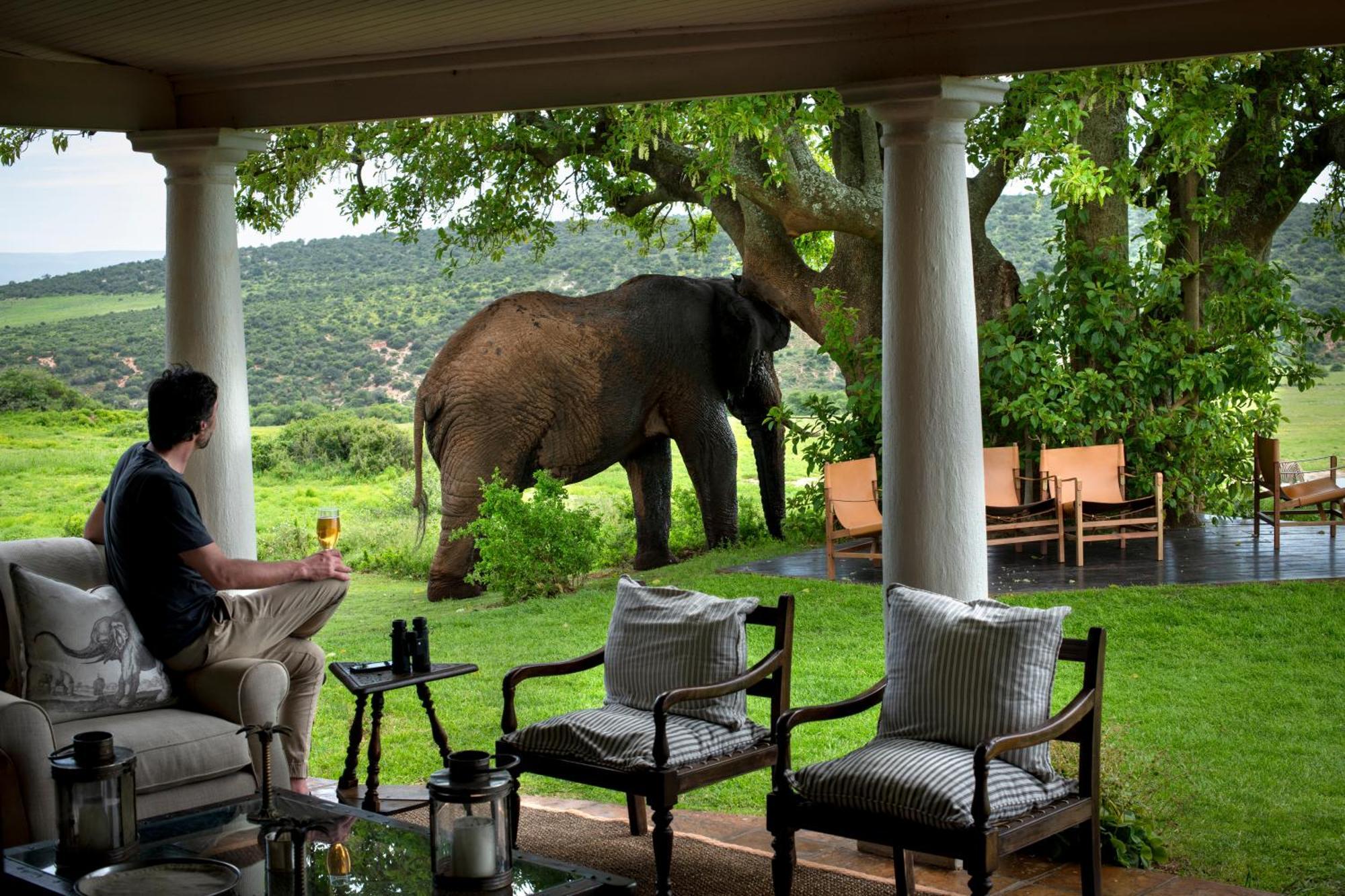 Gorah Elephant Camp Addo Luaran gambar