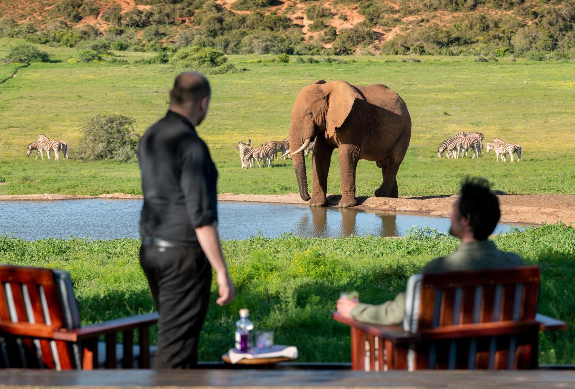 Gorah Elephant Camp Addo Luaran gambar
