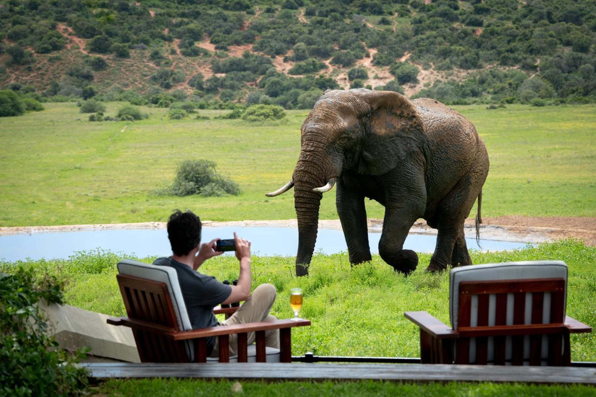 Gorah Elephant Camp Addo Luaran gambar