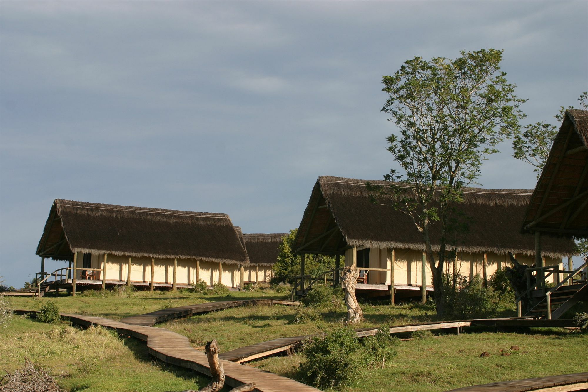 Gorah Elephant Camp Addo Luaran gambar