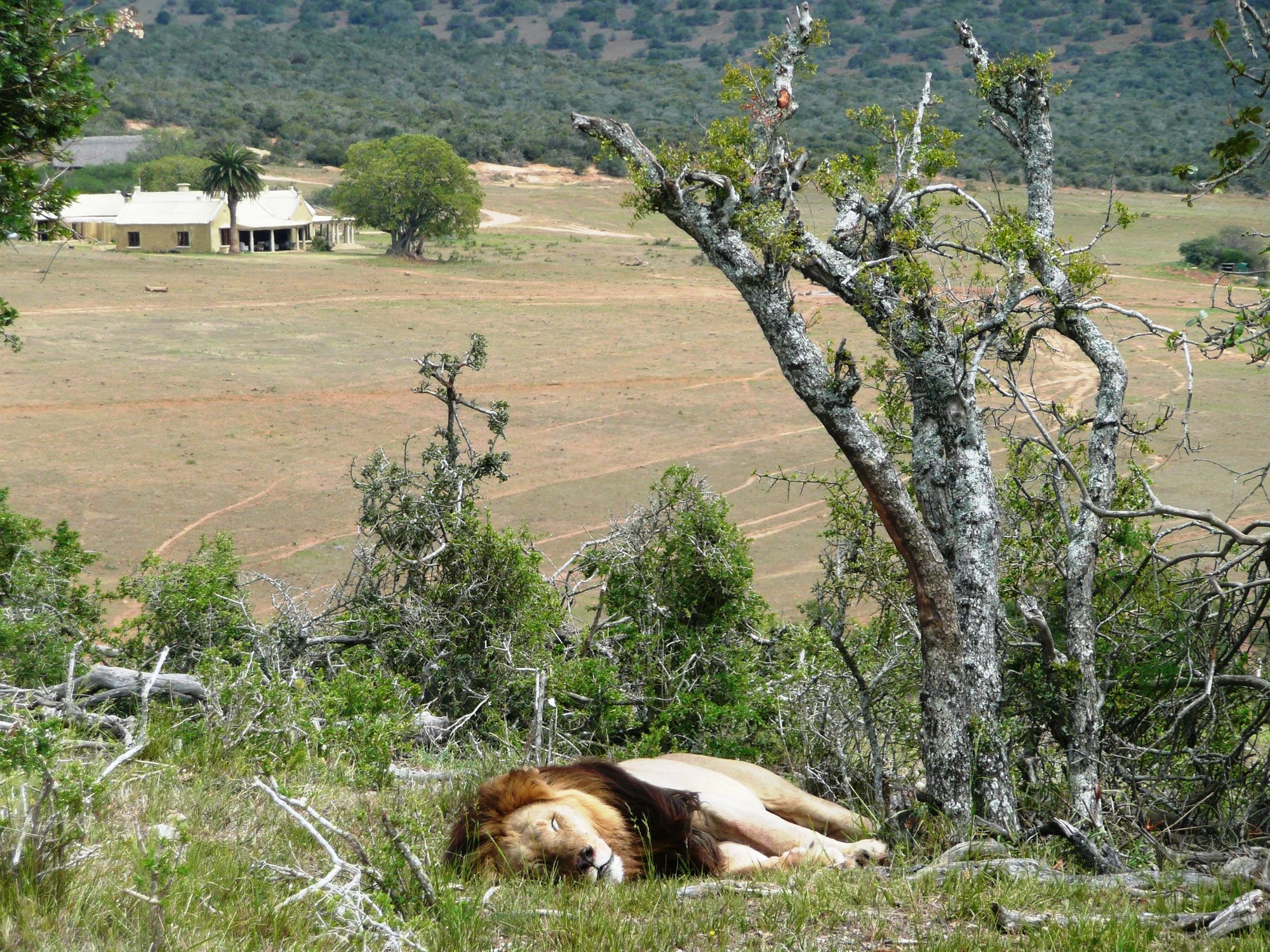 Gorah Elephant Camp Addo Luaran gambar